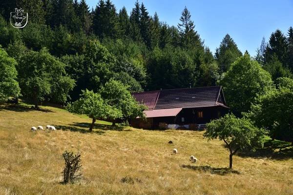 Na Radhošť, k Radegastu a na Pustevny – Turisticky gurman