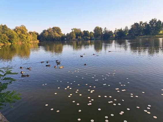 Autokemp Hradec u Kadaně foto 3