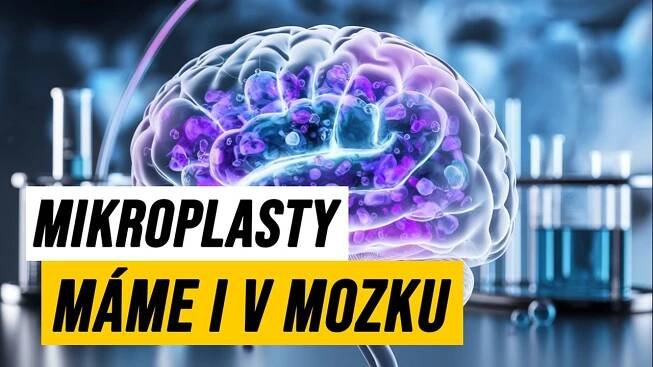 Mikroplasty jíme i dýcháme skoro pořád. Nic dobrého pro tělo to není
