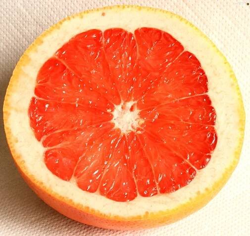 Grapefruit – Wikipedia