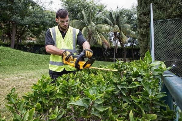 DeWALT DCM563PB