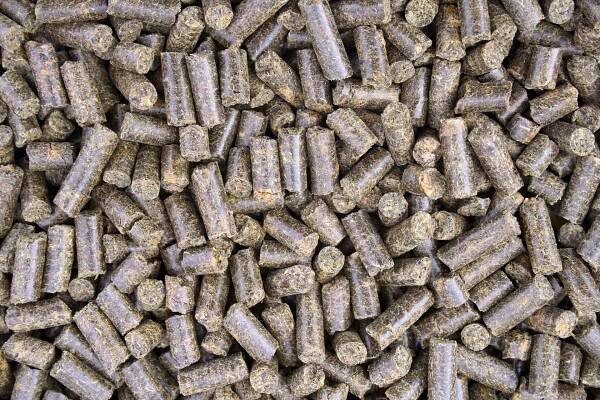 Beet Pulp Pellets and Molasses – Sugar – Products & Activities – Sucden