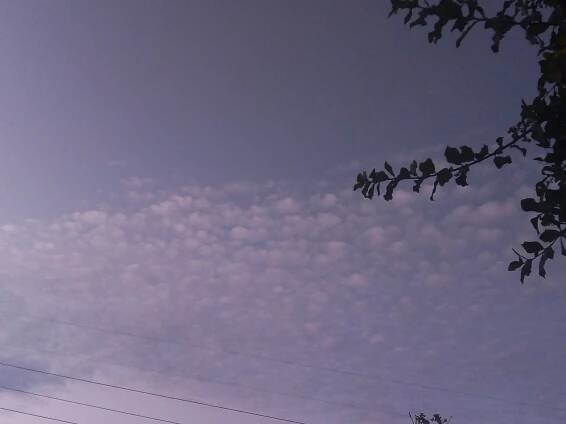 Cirrocumulus