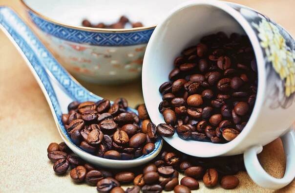Arabica nebo Robusta? Rozdíly mezi nejvíce používanými druhy kávy - Kreativní dům