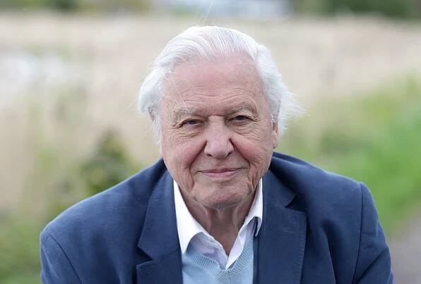 Sir David Attenborough at the opening of Woodberry Wetlands in London, in 2016. © by Danny Martindale/WireImage/Getty