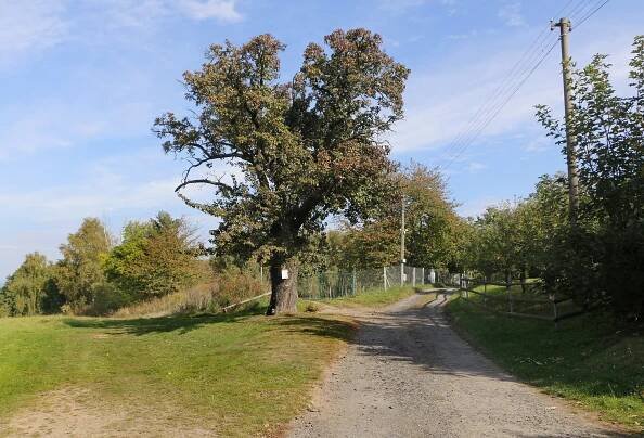 Soubor:Chlum, Maršovice, upper part.jpg