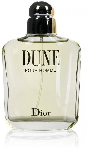 DIOR Dune Pour Homme EdT 100 ml