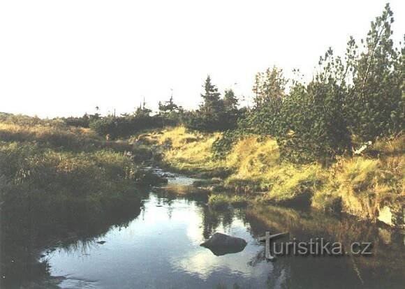 Pančavská louka - Rezervace