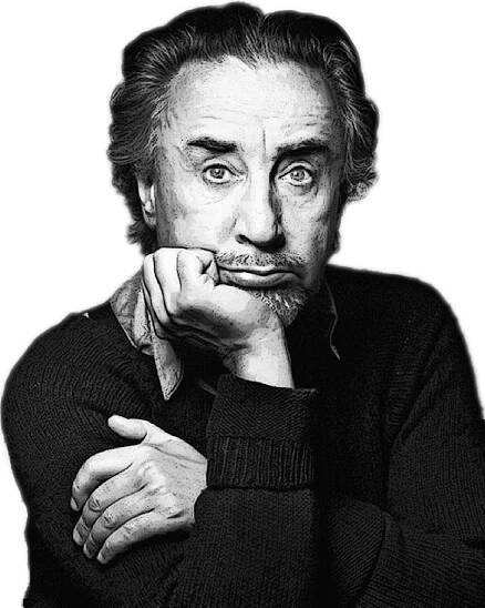 The Kites by Romain Gary