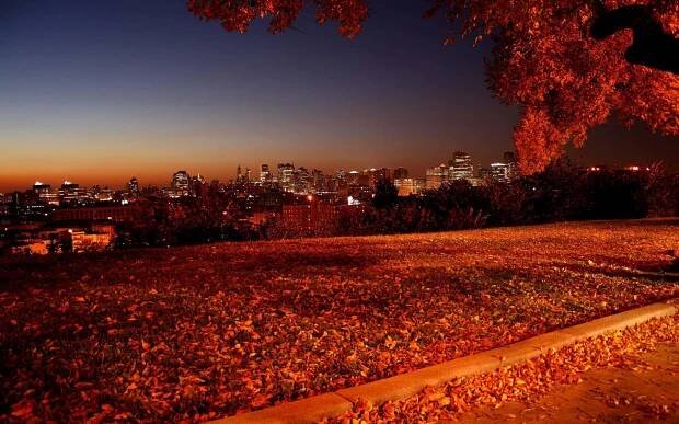 Fall Tumblr Park With Scattered Leaves Wallpaper