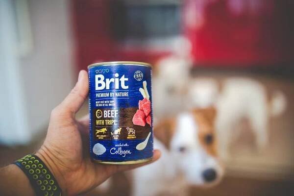 Brit Premium by Nature Pork with Trachea - 2