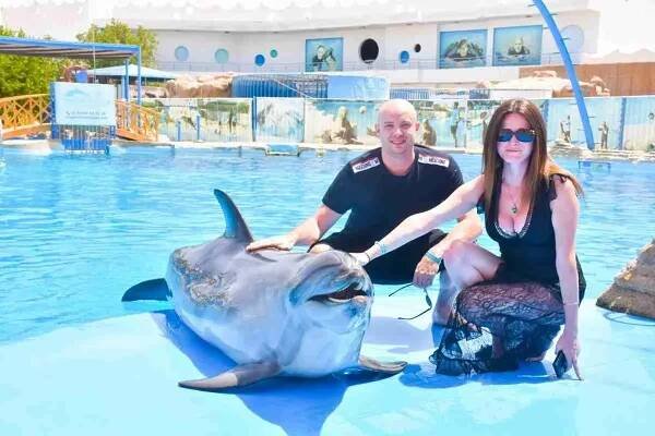 Dolphin Show w Hurghadzie