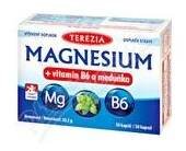 TEREZIA Magnesium+vitamin B6 a meduňka cps. 30
