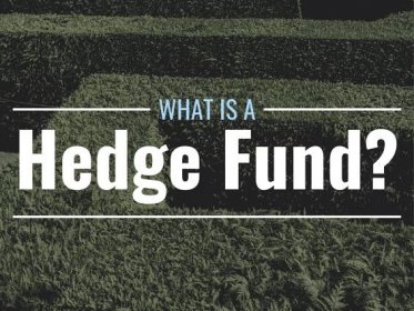What Are Hedge Funds & How Do They Work? Definition, Purpose & Types
