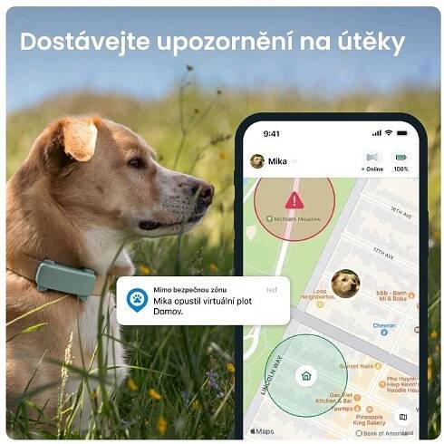 Tractive DOG 6 – GPS lokátor pro psy a monitor zdraví, mátový