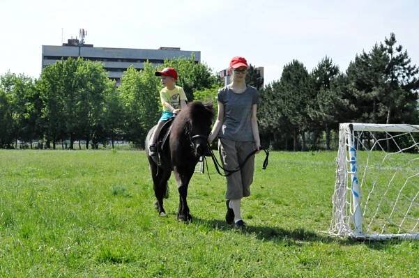 MDD na Východnom (Zuzka Tomčalová) – Mestská časť Bratislava-Rača