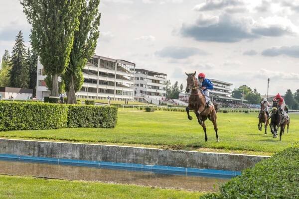 Dostihové závodiště Pardubice - sportovní zařízení - Východní-Čechy.info - oficiální turistický portál Pardubického kraje