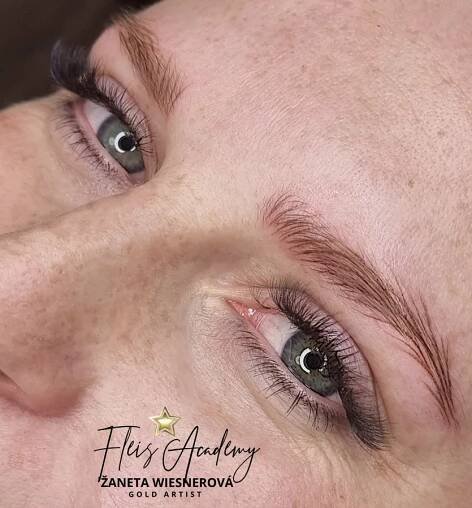 Hair stroking | Permanentní makeup - Obočí vláskové Hradec Králové