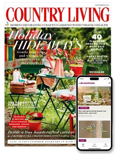 Country Living Magazine Membership