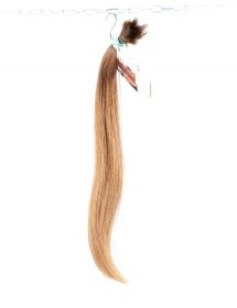 Přírodní světlé vlasy evropského původu E1614 40 cm #10 36 g - Afroditi