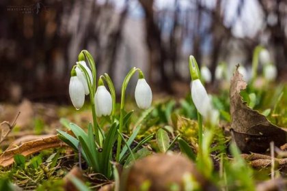 Když přichází jaro…#3 – Martin Huf | Fotograf – Ostrava