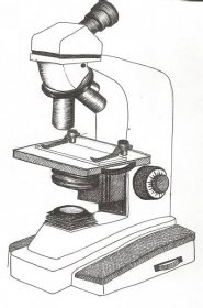 Jak nakreslit mikroskop tužkou - návod krok za krokem pro děti a začátečníky