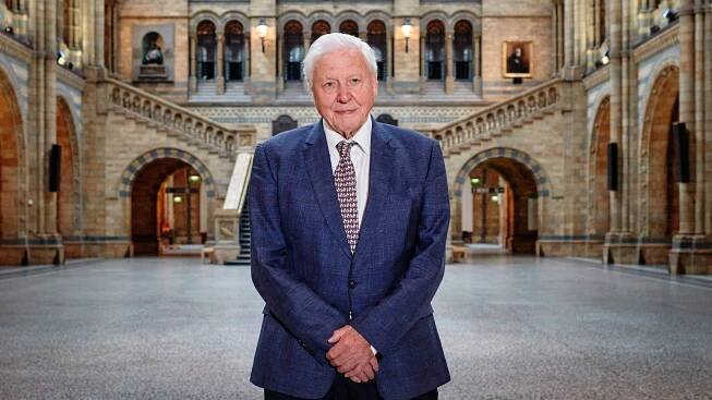 Inside David Attenborough’s immersive exhibition at the Natural History Museum