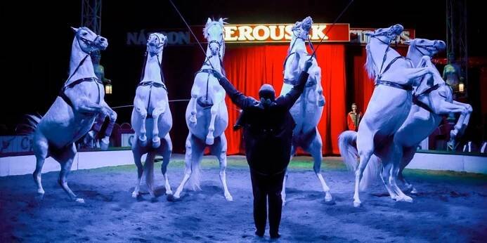 Cirkus Berousek | Slevomat.cz