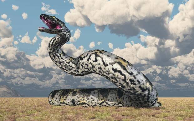 Titanoboa: Steckbrief & 7 Merkmale der Riesenschlange