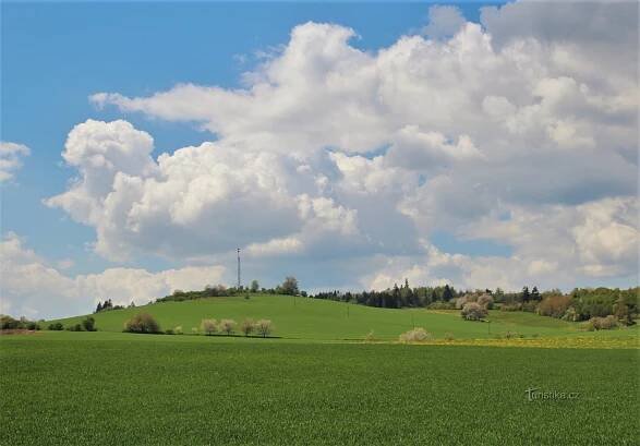 Olešnice - Srstkův kopec - Kopec