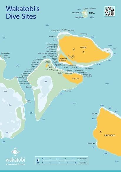 Wakatobi: Boat diving