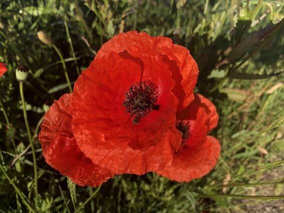 rewritten life - Lean in and listen...