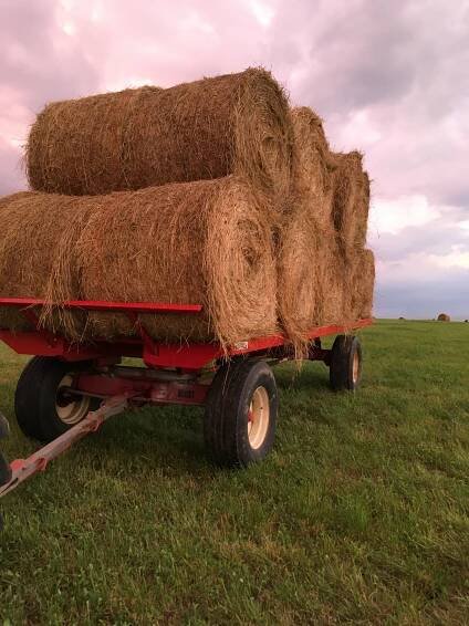 South 50 Farms - Grass-Fed & Organic