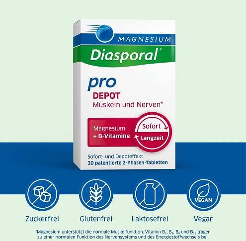 MAGNESIUM DIASPORAL pro B-Vit.DEPOT Musk.+Nerv.Tab