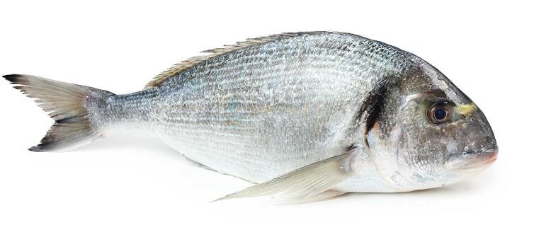 Oromar is processor and distributor of Sea Bream (Sparus aurata) - Oromar