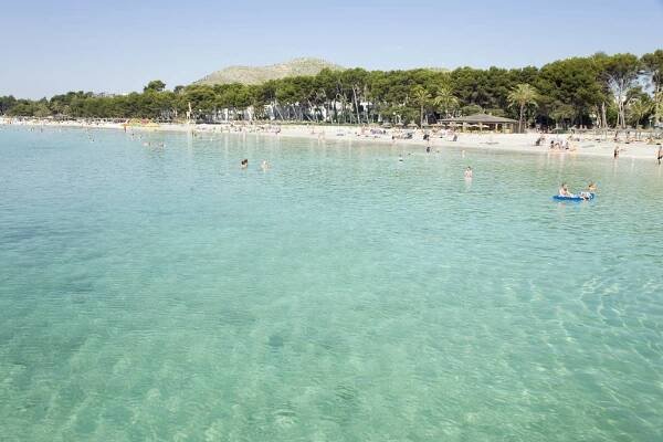 JS Sol de Alcudia 4* | Hotel Port d’Alcudia, Mallorca – Official