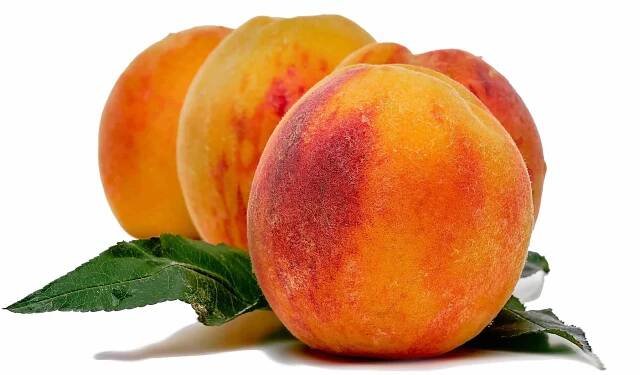 Home - One Nature Fruits