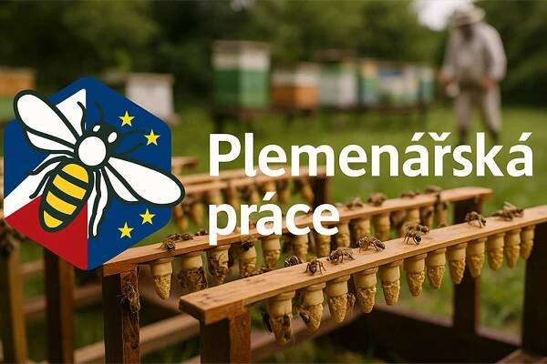 Dotace na plemenářskou práci