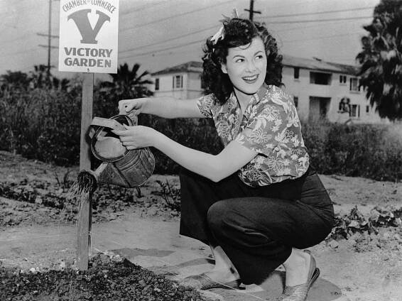Victory Gardens Are Making a Comeback Amid Coronavirus Food Shortage Fears