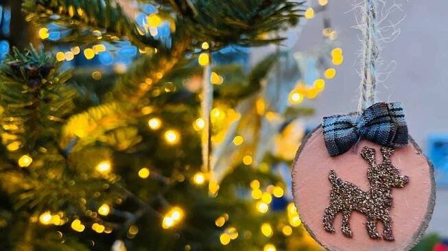 Advent v Prachaticích: Tanec, hudba a kouzelná překvapení