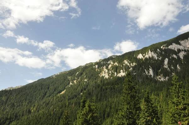 Piatra Craiului National Park photo hunting tour - 1 day