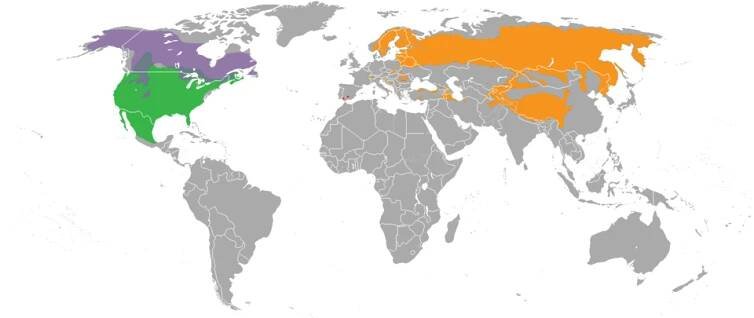 Soubor:Lynx range.png – Wikipedie