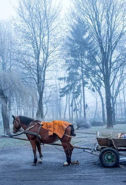 Maciej Kozłowski - Park