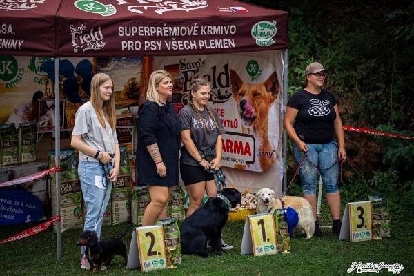 6. ročník Voříškiády Čtyřnohého tuláčka | JKANIMALS.cz 