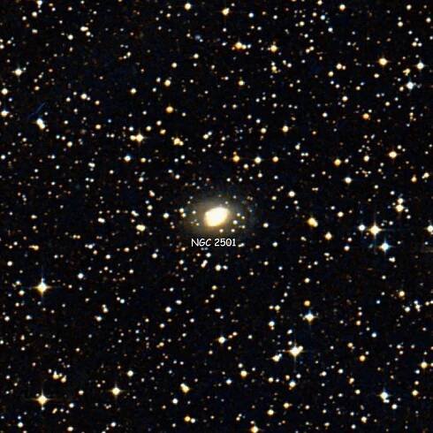 DSS image of region near lenticular galaxy NGC 2501