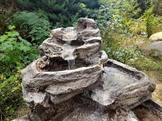 ROCK GARDEN