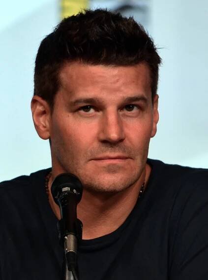 David Boreanaz citáty (10 citátů)