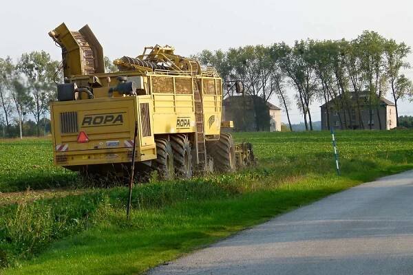 HAVÍŘOVSKÝ ZPRAVODAJ O HISTORII MĚSTA 5. část: Na zámeckém dvoře