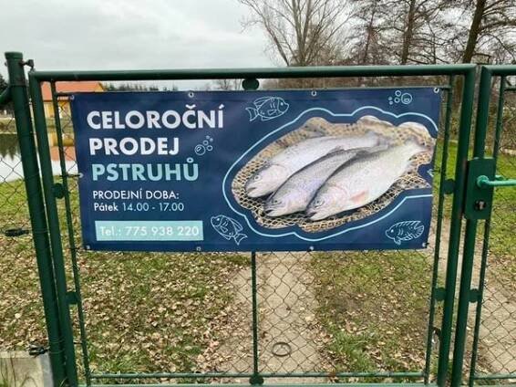 Chov ryb Štěpánek foto 2