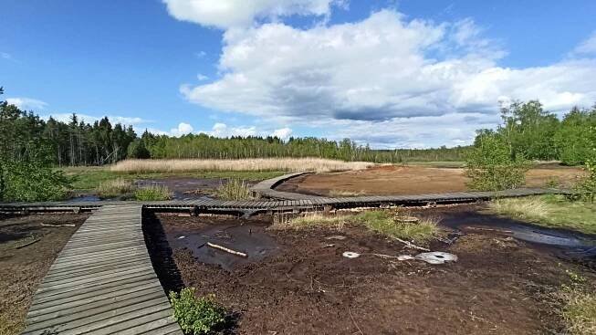 Přírodní rezervace Soos – Průvodce parkem, otevírací doba, vstupné